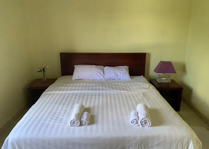Cozy Palm Guest house