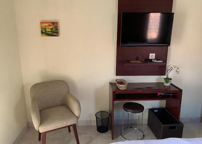 Guest house Cozy Palm 3*