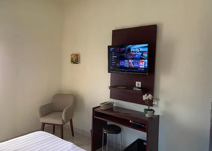 Cozy Palm Guest house 3*