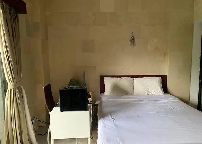 Cozy Palm 3*